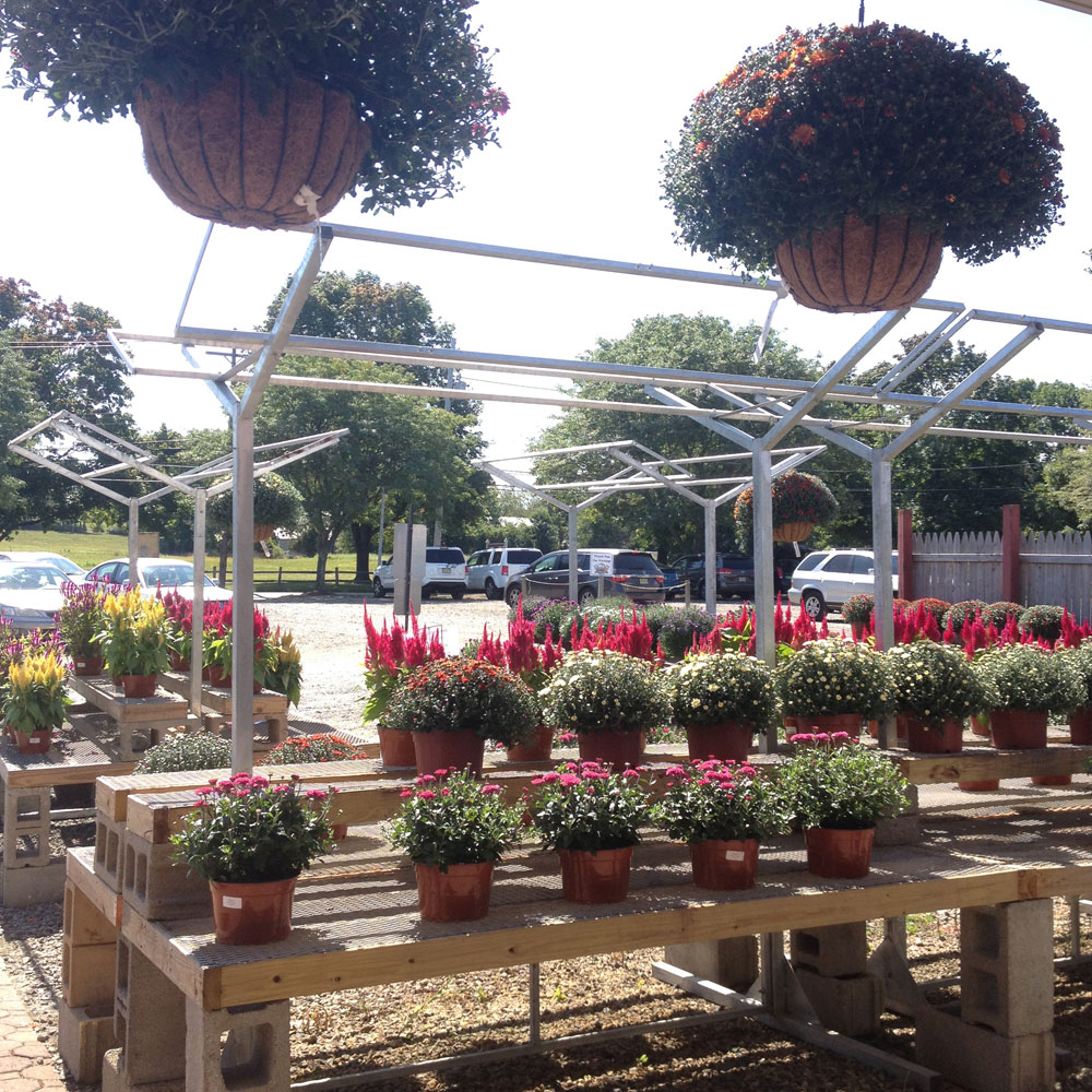 Stony Hill Farm Market, Corn Maze, New Jersey