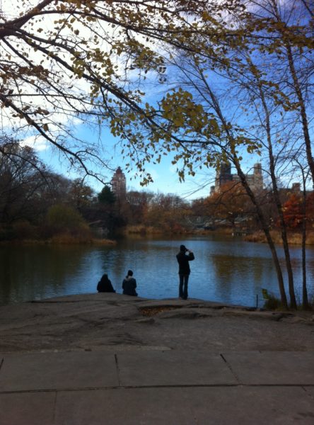 Central Park, NYC