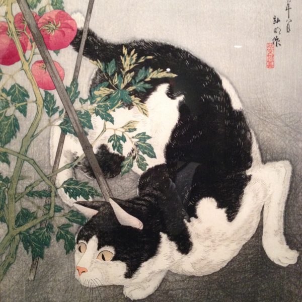 Life of Cats, Japan Society