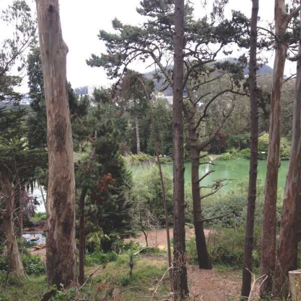 Golden Gate Park, San Francisco