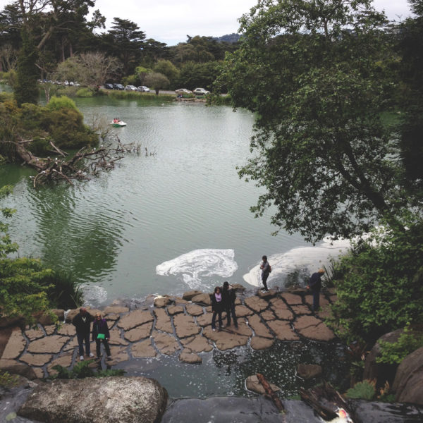 Golden Gate Park, San Francisco