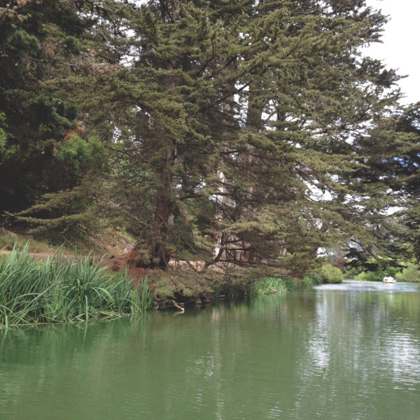 Golden Gate Park, San Francisco