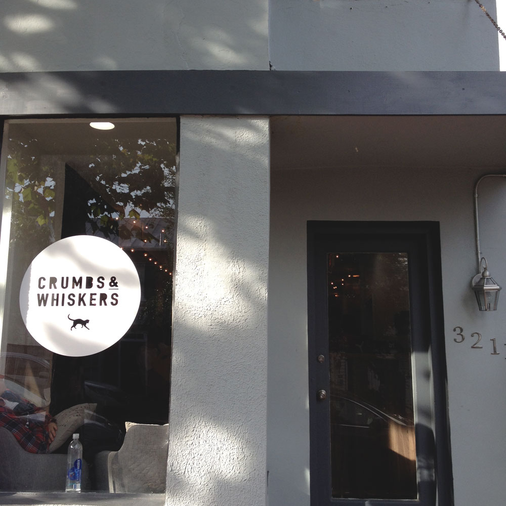 Crumbs & Whiskers Cafe Cafe, Georgetown