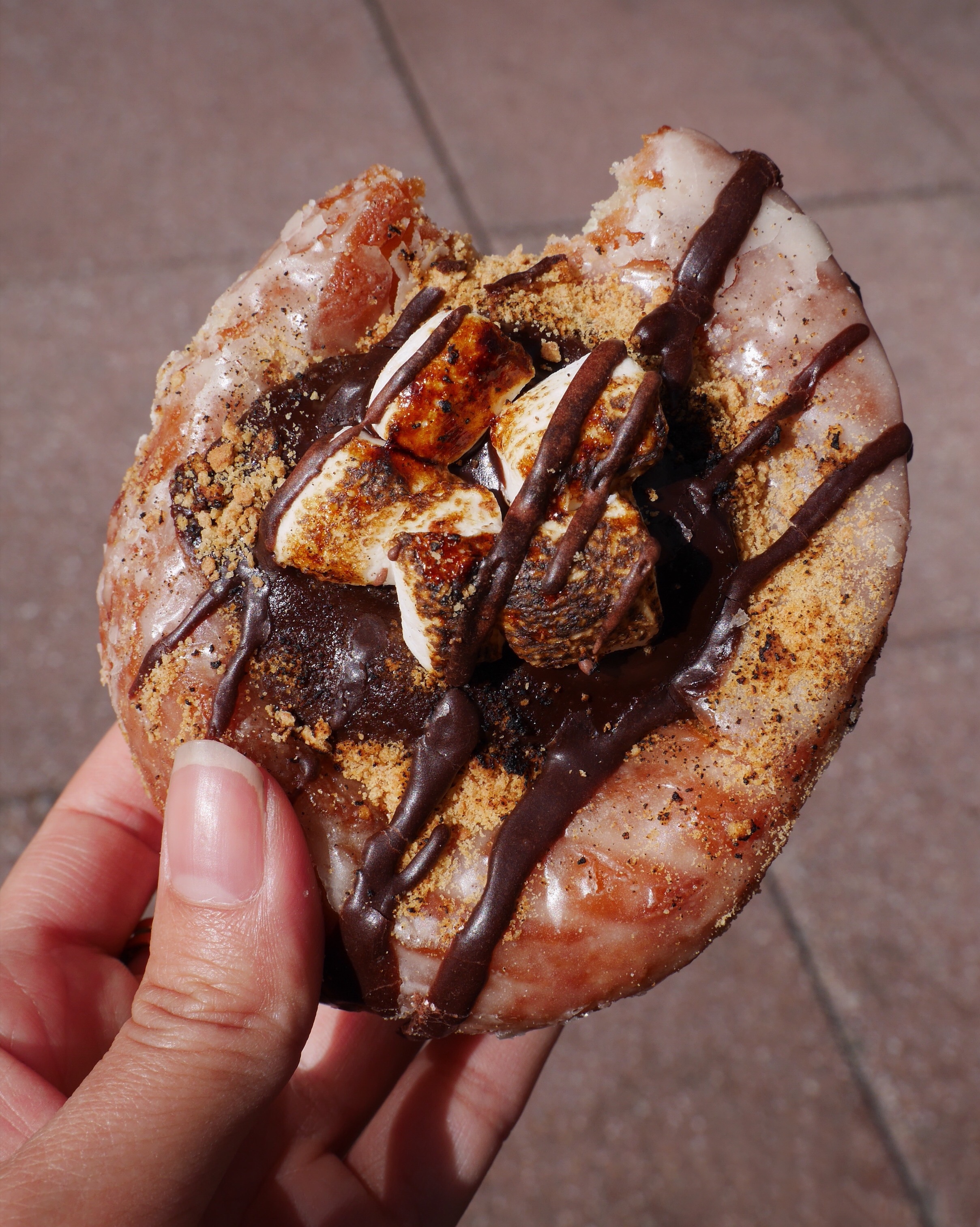 The Cinnamon Snail - Chocolate Ganache Stuffed S'mores Donut