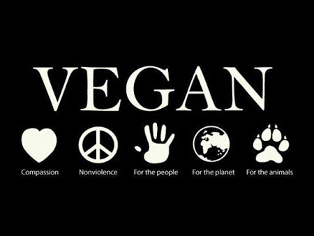 Reasons for Going Vegan