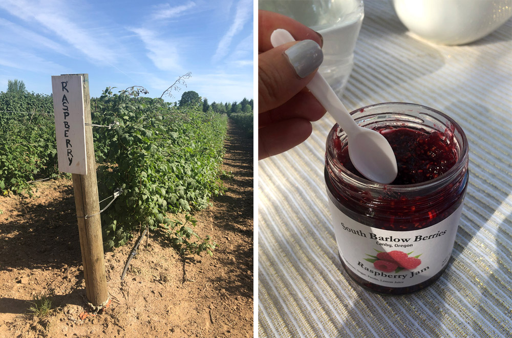South Barlow Berry Farm, Oregon Raspberry Jam