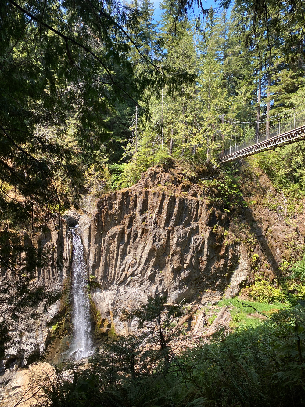 Drift Creek Falls, Hiking in Oregon