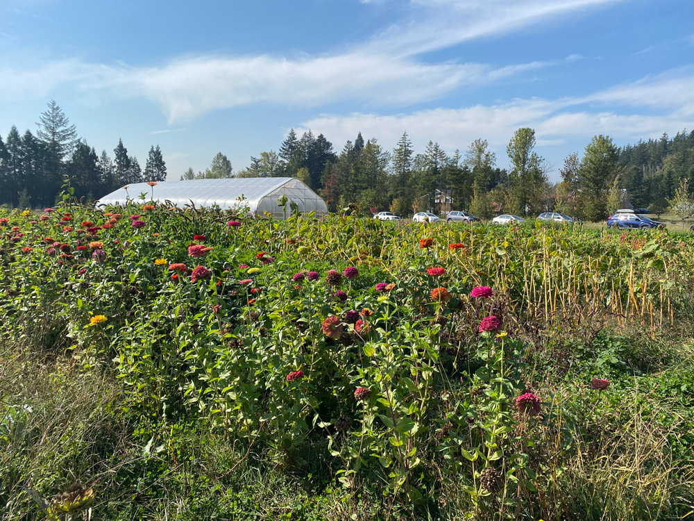 Wild Roots Farm Tour with Growing Gardens